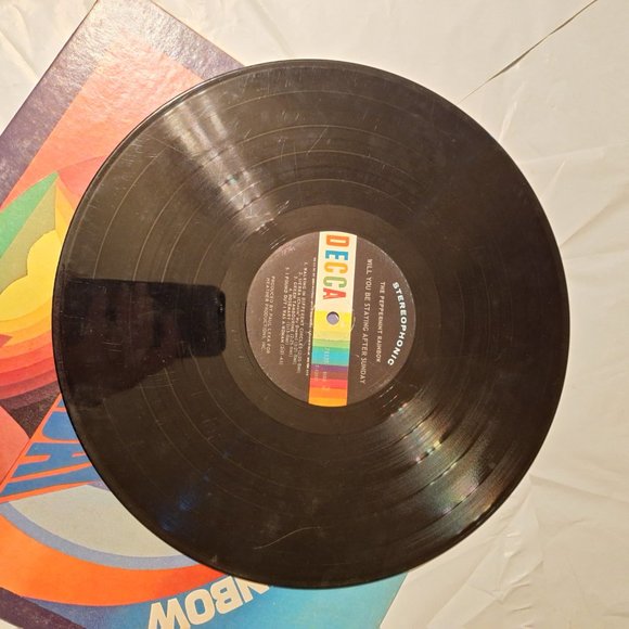 peppermint rainbow will you be staying after sunday lp record - Picture 4 of 5